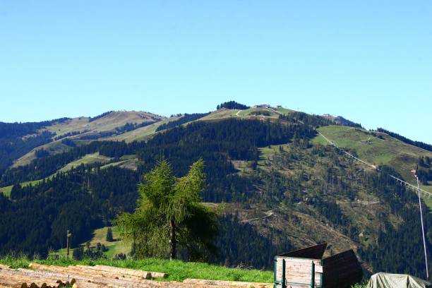 istock Summer at the Wilder Kaiser in Tyrol 1311676312
