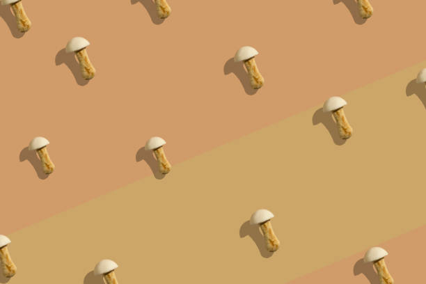 istock Mushroom cookies seamless pattern on a beige geometric background. Minimalism background 1311676371