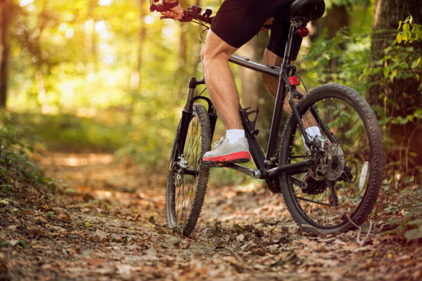istock Muscular legs and mountain bike 1311678896