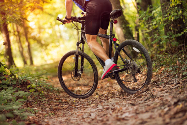 istock low angle view cyclist riding mountain bike .Spring, nature ,sport concept 1311679561