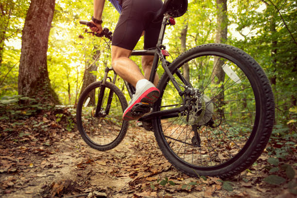 istock mountain bike, outdoor trail 1311679655