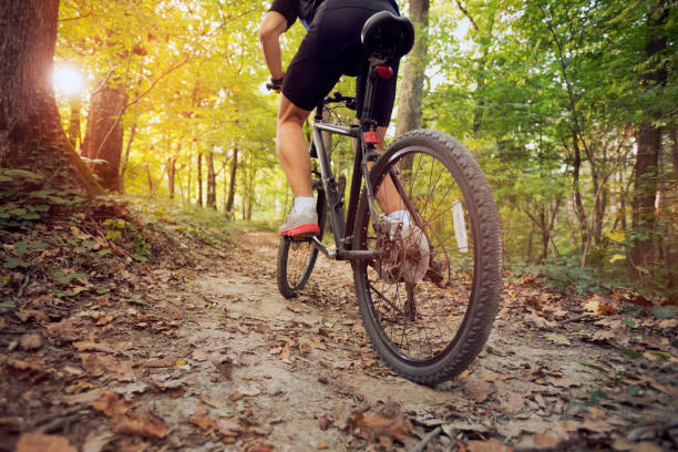 горный велосипед в солнечном лесу - wheel training sports training bicycle стоковые фото и изображения
