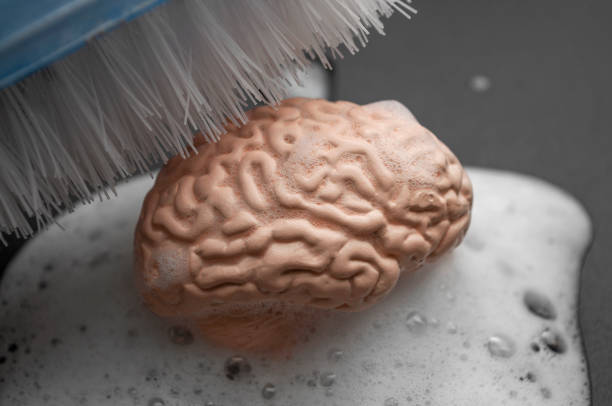 промывание мозгов, снижение критического мышления и концепции контроля разума с кистью очистки человеческого мозга мытья в мыльных пузырь - brain wash стоковые фото и изображения