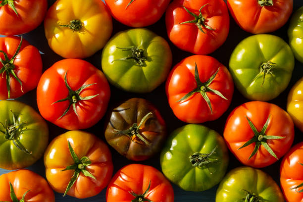 istock Fresh and organic, green, yellow and red tomatoes. 1311681170