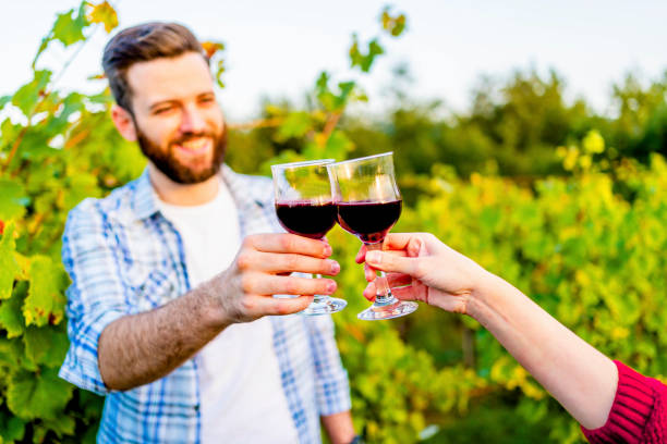 istock Couple toasting wineglasses in vineyard 1311681921