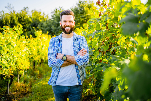 Young smiling winemaker with arms crossed in vineyard