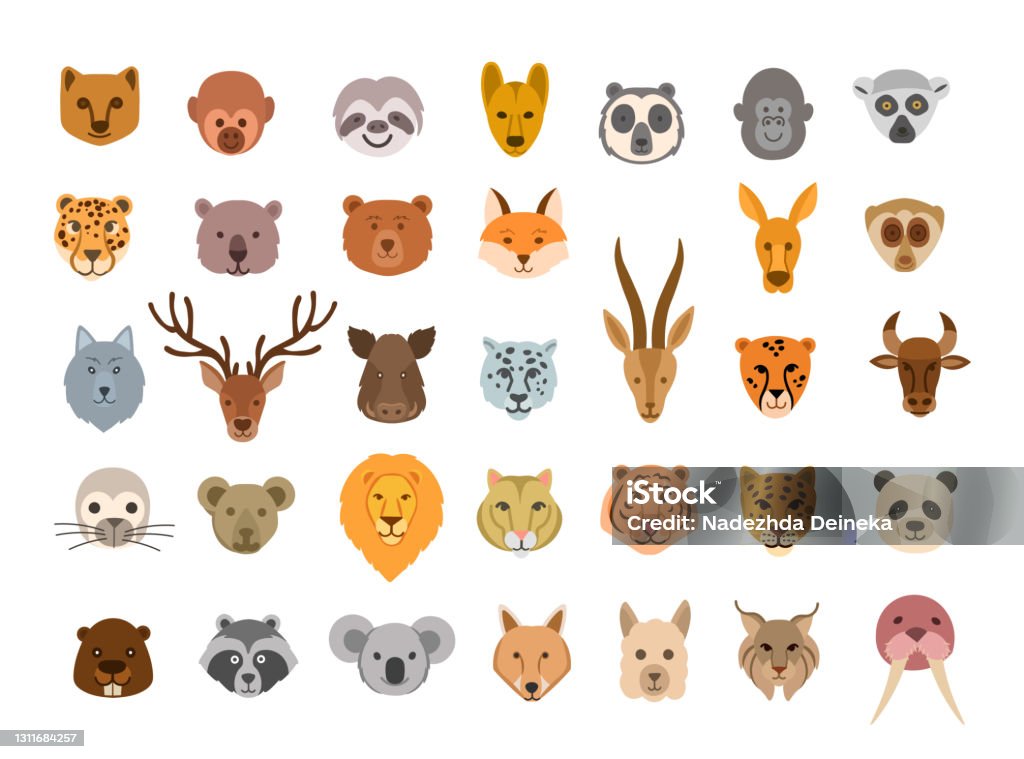 Collection Of Cute Animal Faces Big Set Of Cute Animal Heads Vector Cartoon  Characters Stock Illustration - Download Image Now - iStock