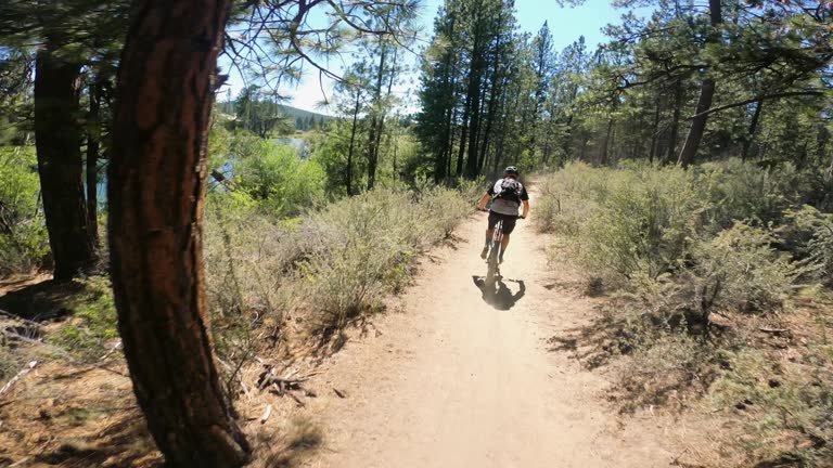 Point Of View Of Mountain Bikers Riding On Forest Trail