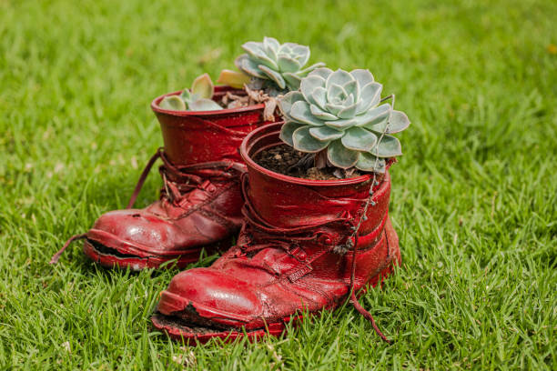 istock Red torn old shoes flower pot on green grass, side angle shot 1311695673
