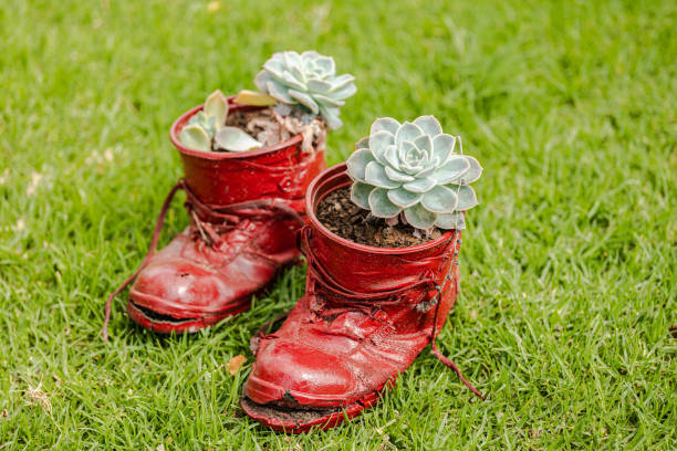 istock Red torn old shoes flower pot on green grass, front agle shot 1311695676