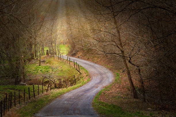 istock Country Road with Sun Beams 1311695694