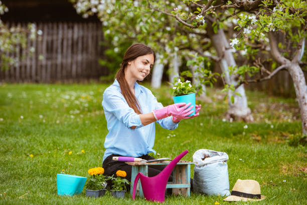 istock Young woman replanting plants 1311696573