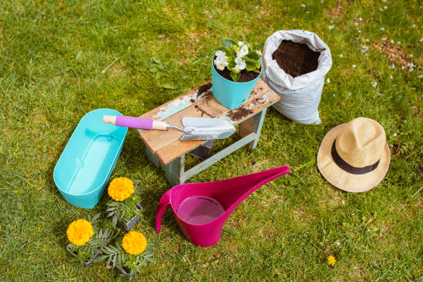 istock Gardening equipment 1311696663