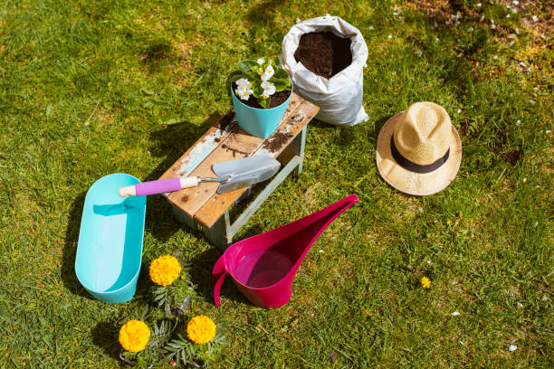 istock Gardening equipment 1311696675