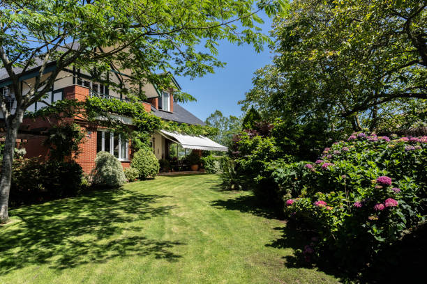 istock Modern design of a house surrounded by fresh plants 1311700414
