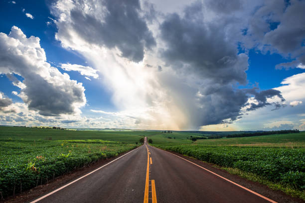 istock country road. beautiful rural landscape 1311703991