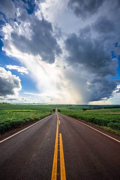 istock country road. beautiful rural landscape 1311703993