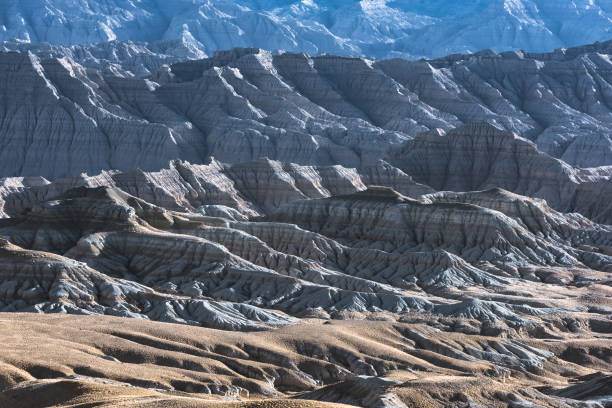istock Eroded landscape and rock towers in Zanda soil forest 1311704822