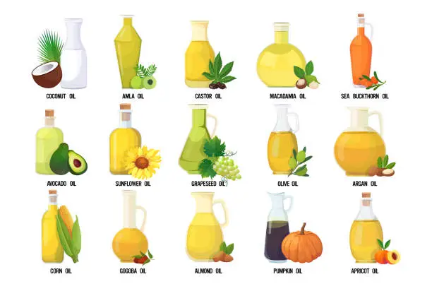 Vector illustration of set fresh oil glass bottles collection with different organic vegetables and fruits names isolated on white background horizontal