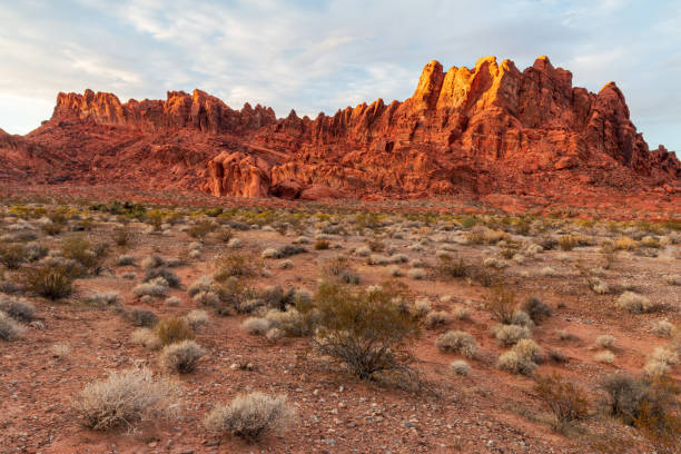 istock Dramatic Valley of Fire State Park Landscape Views 1311711153