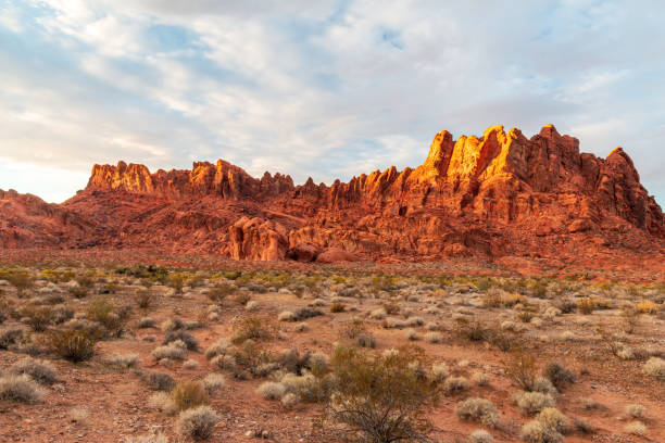 istock Dramatic Valley of Fire State Park Landscape Views 1311711156