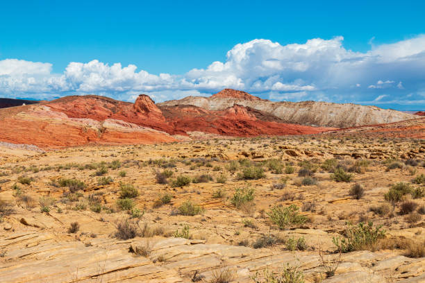 istock Dramatic Valley of Fire State Park Landscape Views 1311711281
