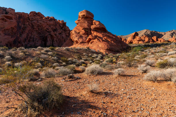 istock Dramatic Valley of Fire State Park Landscape Views 1311711285