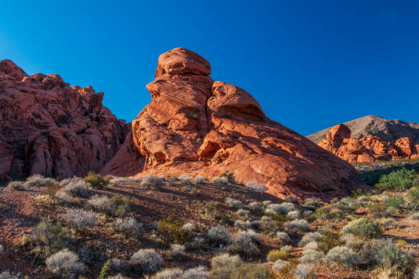 istock Dramatic Valley of Fire State Park Landscape Views 1311711308