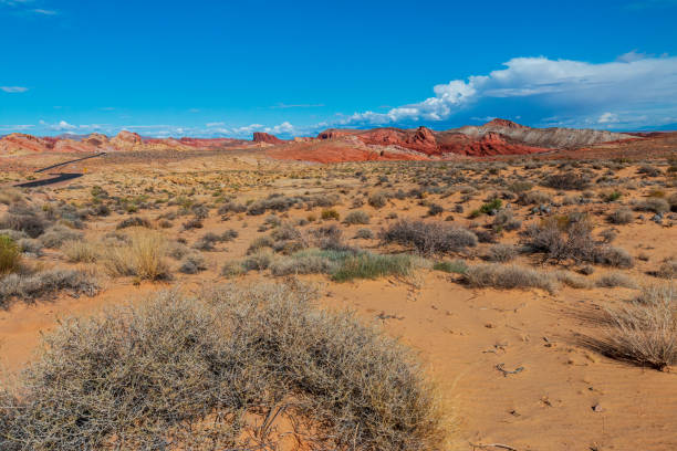 istock Dramatic Valley of Fire State Park Landscape Views 1311711837