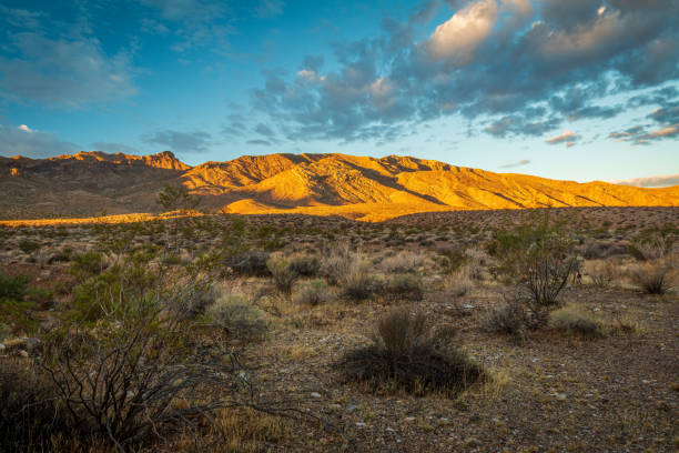 istock Dramatic Valley of Fire State Park Landscape Views 1311711841