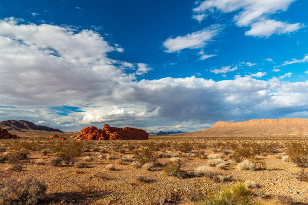 istock Dramatic Valley of Fire State Park Landscape Views 1311712553