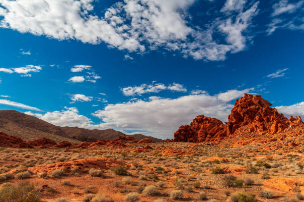 istock Dramatic Valley of Fire State Park Landscape Views 1311713167