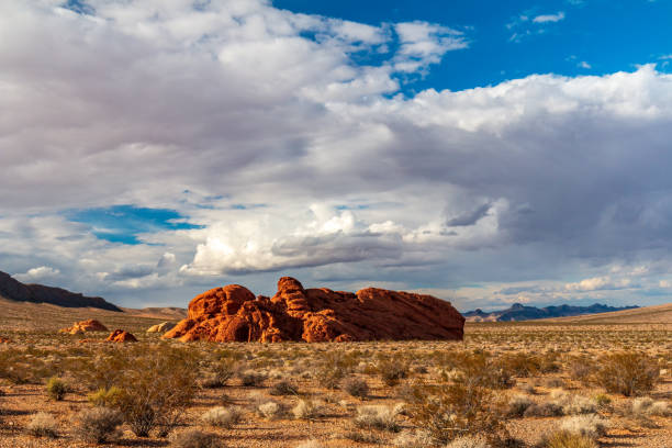 istock Dramatic Valley of Fire State Park Landscape Views 1311713242