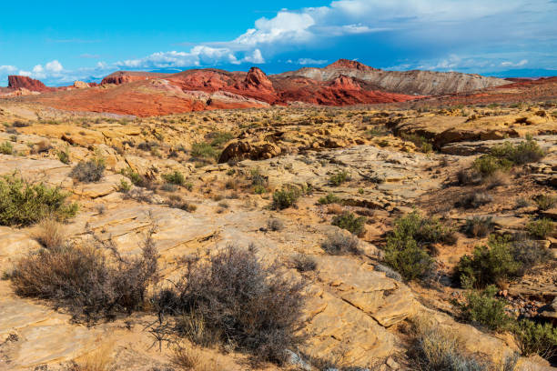 istock Dramatic Valley of Fire State Park Landscape Views 1311713291