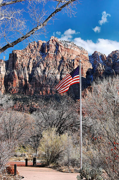istock Zion National Park in Utah 1311714771