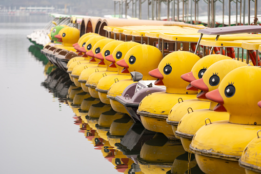 Duck Recreational Boat Docked In a Row