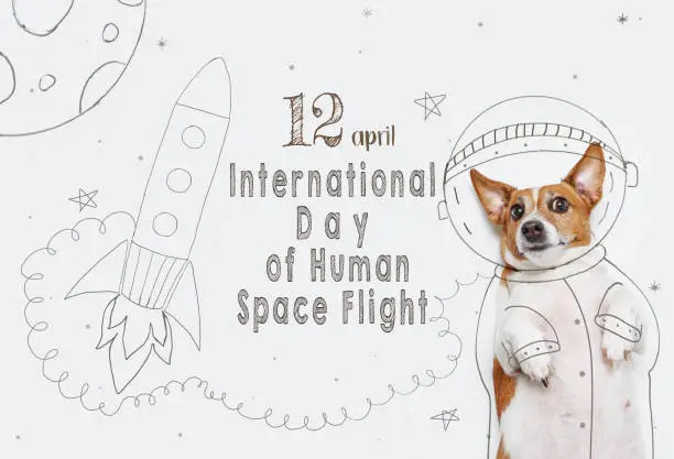 Jack russell dog in the space suit on light gray background with the text "12 April World Cosmonautics Day." Explore the universe concept.