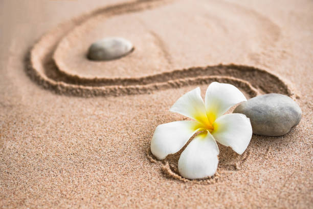 istock Japanese zen garden stone on sand beach 1311720578