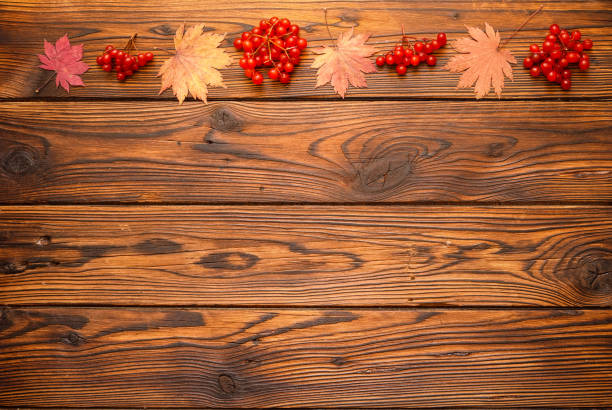 istock Red maple leaves and arrow-wood berries top border 1311721388