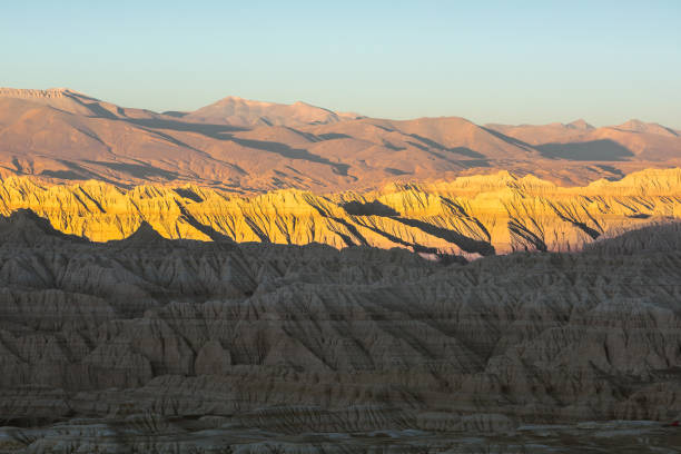 istock Eroded landscape and rock towers in Zanda soil forest 1311733408