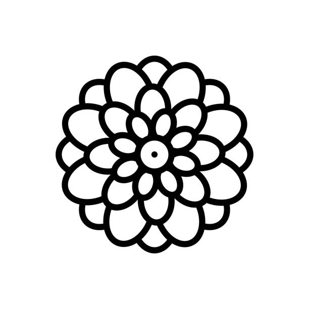 dahlienchrysantheum - dahlie stock-grafiken, -clipart, -cartoons und -symbole