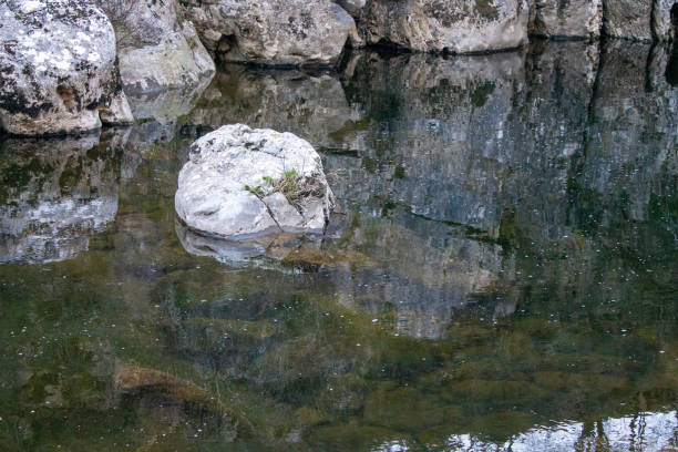 istock Bathing place in a mountain river in Northern Spain. 1311742318