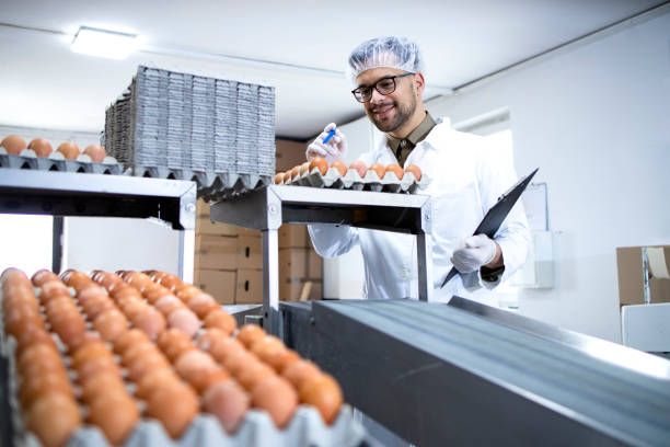 istock Technologist holding checklist inspecting and checking quality of chicken eggs at food processing plant. 1311744105