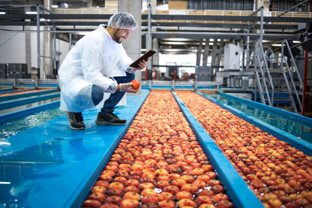 istock Technologist with tablet computer doing quality control of apple fruit production in food processing plant. 1311744150