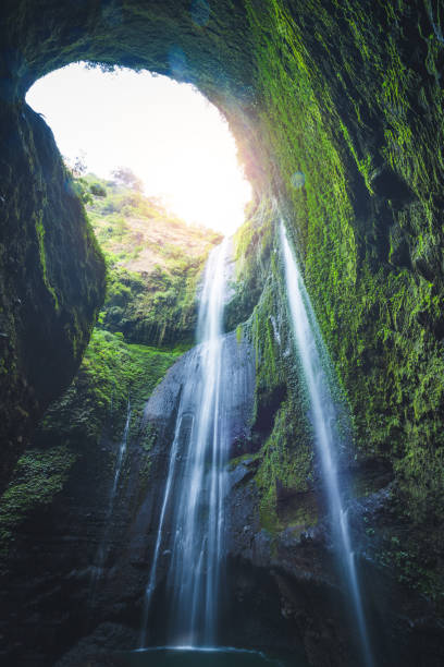 istock waterfall falling from tropical forest in rainny season at bali 1311746243
