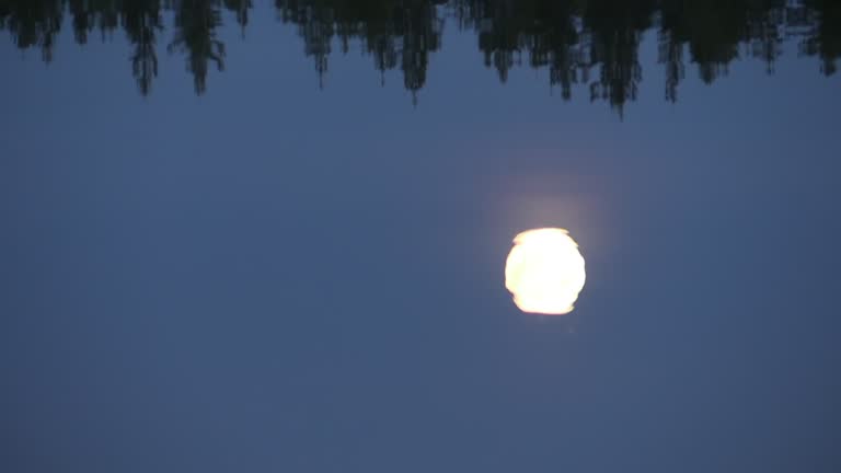 Wilderness lake in Finland - night feelings at moon light