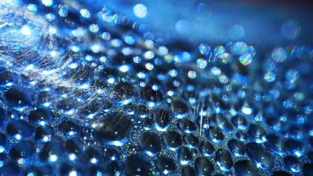 istock blue water drops close-up, abstract bokeh,light effect blue bokeh, 1311748203