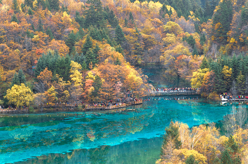 Toursit enjoying travel perfecet naturel at china autumn Jiuzhaigou nature reserve (Jiuzhai Valley National Park)