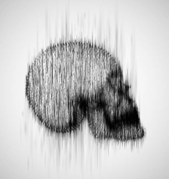 istock human skull from the drip of ink on the background. abstract vector. 1311751467