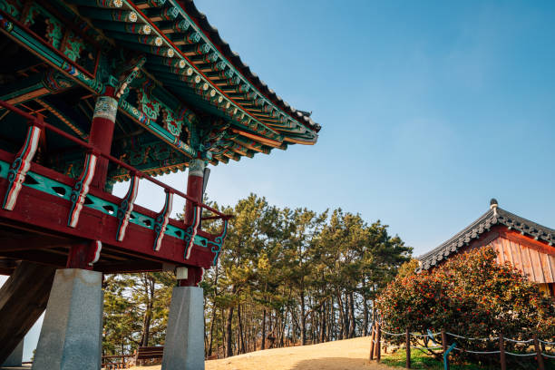 istock Maryang-ri Camellia Forest in Seocheon, Korea 1311752483